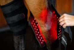 Therapiegamaschen LED-Rotlicht-Therapie FS26, Sprunggelenksgamasche, 2 Stück