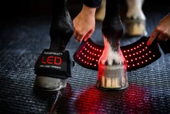 Therapiehufglocken LED-Rotlicht-Therapie FS26, 2 Stück