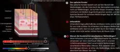 Therapiehufglocken LED-Rotlicht-Therapie FS26, 2 Stück