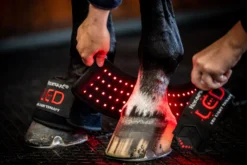Therapiehufglocken LED-Rotlicht-Therapie FS26, 4 Stück