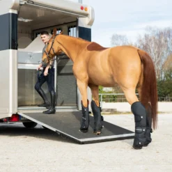 Transportgamaschen, Hinten
