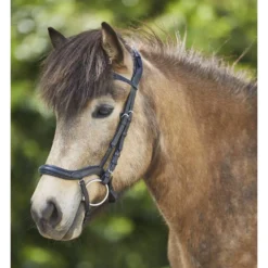 Trense Anatomic, Micklem, für Isländer