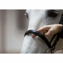 Trense Anja Beran, englisch kombiniert, mit Zügeln