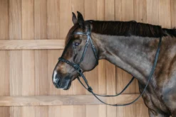 Trense Bitless Bridle WC, englisch, gebisslos, ohne Zügel