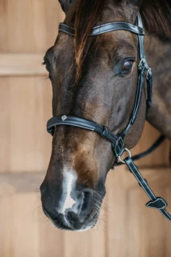 Trense Bitless Bridle WC, englisch, gebisslos, ohne Zügel