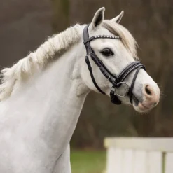 Trense Bixie, schwedisch kombiniert, Ponytrense, mit Lack und Glitzer, mit Zügeln