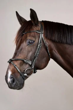 Trense Braided NEC, englisch kombiniert