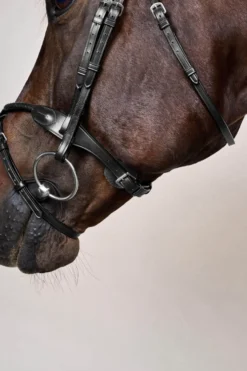 Trense Braided NEC, englisch kombiniert
