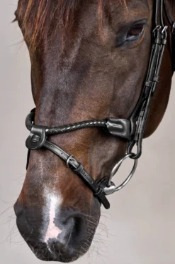 Trense Braided NEC, englisch kombiniert