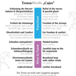Trense Cajus, englisch kombiniert, mit Lederstirnband, ohne Zügel