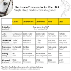 Trense Cajus, englisch kombiniert, mit Lederstirnband, ohne Zügel