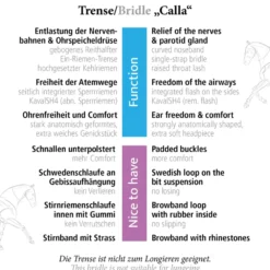 Trense Calla, englisch kombiniert, mit Strassstirnband, ohne Zügel