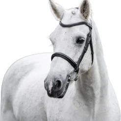 Trense Cavesson Pony FS26, englisches Reithalfter, ohne Sperrriemen