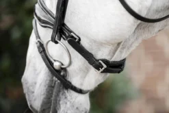 Trense Diamante Flash HW26, schwedisch kombiniert, ohne Zügel