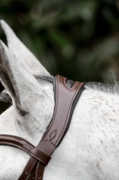 Trense Dressage Flash FS26, schwedisch kombiniert, ohne Zügel