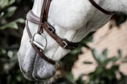 Trense Dressage Flash FS26, schwedisch kombiniert, ohne Zügel