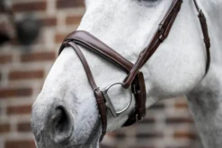 Trense Dressage Flash FS26, schwedisch kombiniert, ohne Zügel