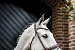 Trense Dressage Flash FS26, schwedisch kombiniert, ohne Zügel