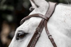 Trense Dressage Flash FS26, schwedisch kombiniert, ohne Zügel