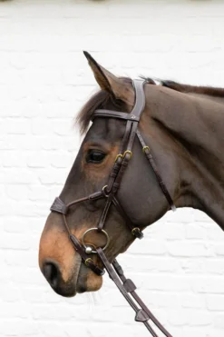 Trense Elastic Hybrid Bridle DC, ohne Zügel