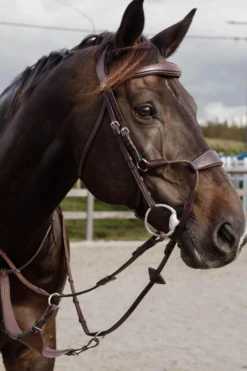 Trense Elastic Hybrid Bridle NEC, ohne Zügel