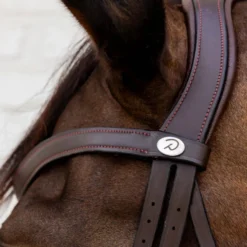 Trense Flash Soft Leather Collection, englisch kombiniert, ohne Zügel