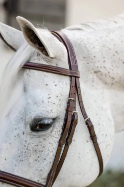 Trense Hunter Cavesson Pony FS26, englisches Reithalfter, mit Zügeln, ohne Sperrriemen