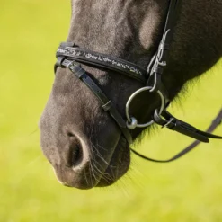 Trense Icelandic Frosti, englisch kombiniert, für Isländer, mit Zügeln