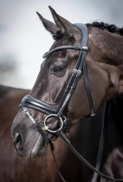 Trense Kudos Classic Dressage, schwedisch kombiniert