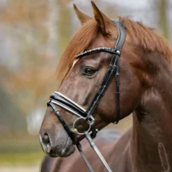 Trense Liliana, schwedisch kombiniert, ohne Zügel