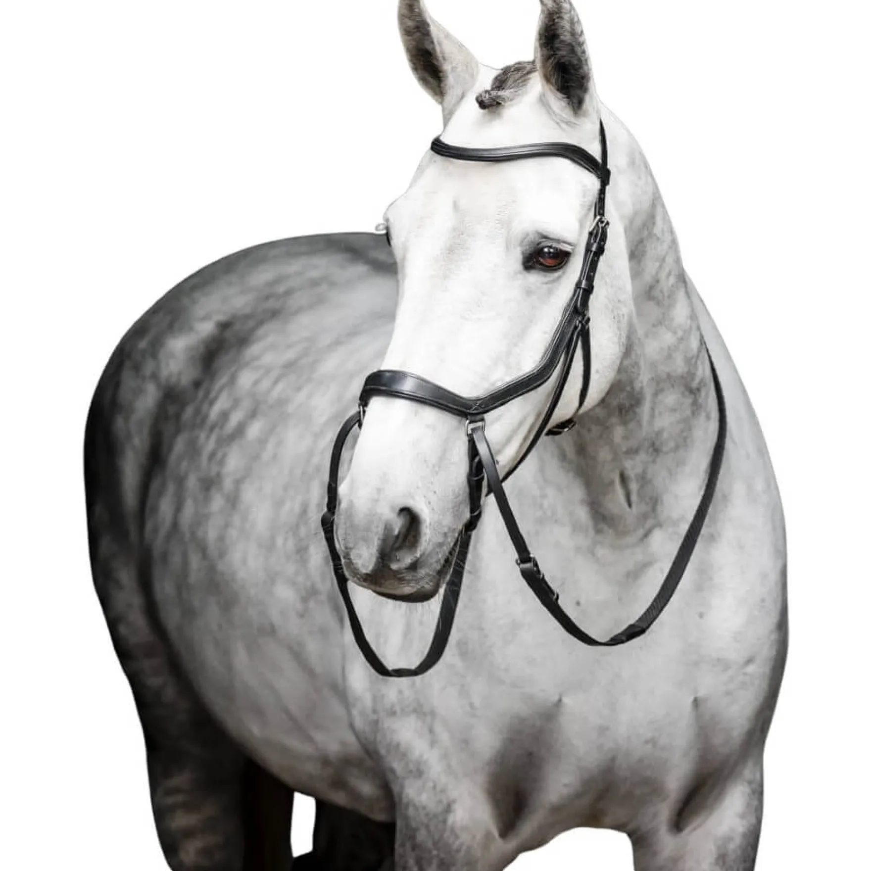 Trense Micklem 3 Bitless Bridle FS26, gebisslos