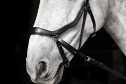 Trense Micklem 3 Bitless Bridle FS26, gebisslos
