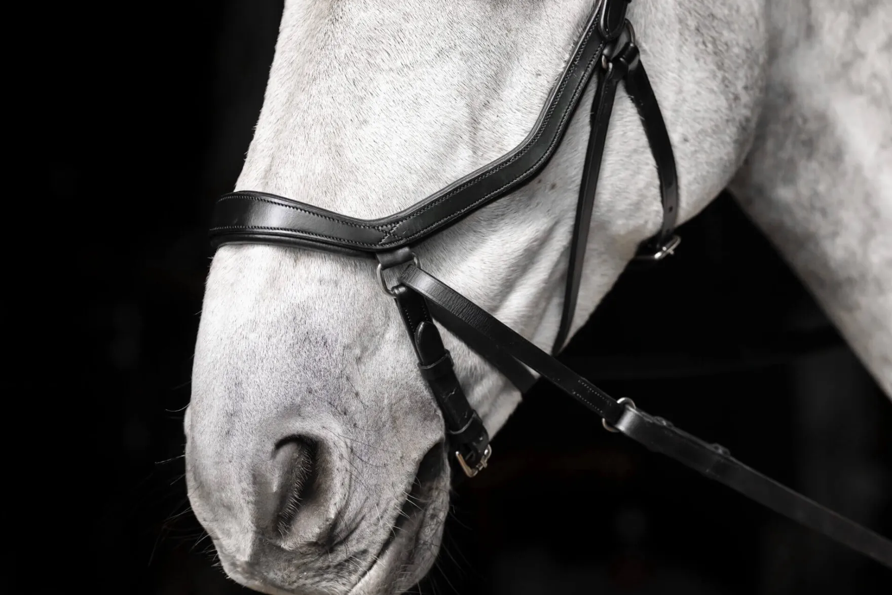 Trense Micklem 3 Bitless Bridle FS26, gebisslos