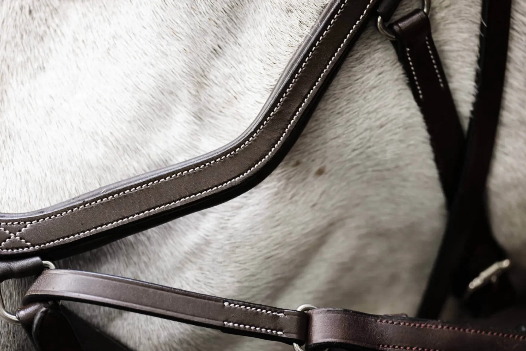 Trense Micklem 3 Bitless Bridle FS26, gebisslos