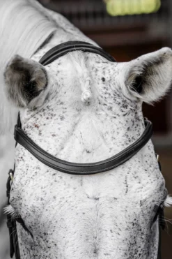 Trense Micklem 3 Competition Bridle, ohne Zügel