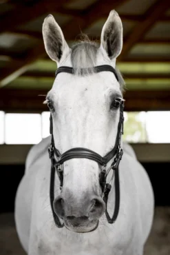 Trense Micklem 3 Deluxe Competition Bridle, ohne Zügel