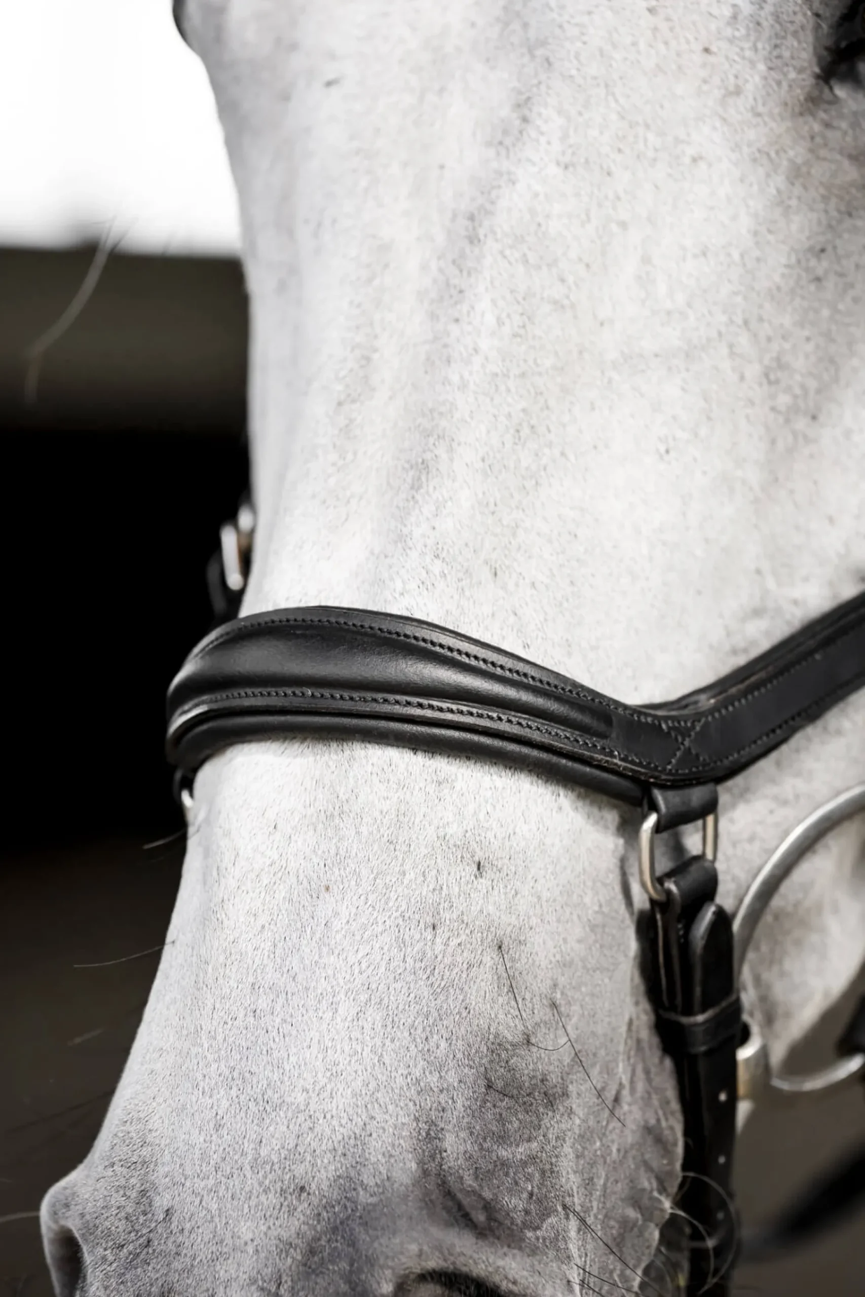 Trense Micklem 3 Deluxe Competition Bridle, ohne Zügel