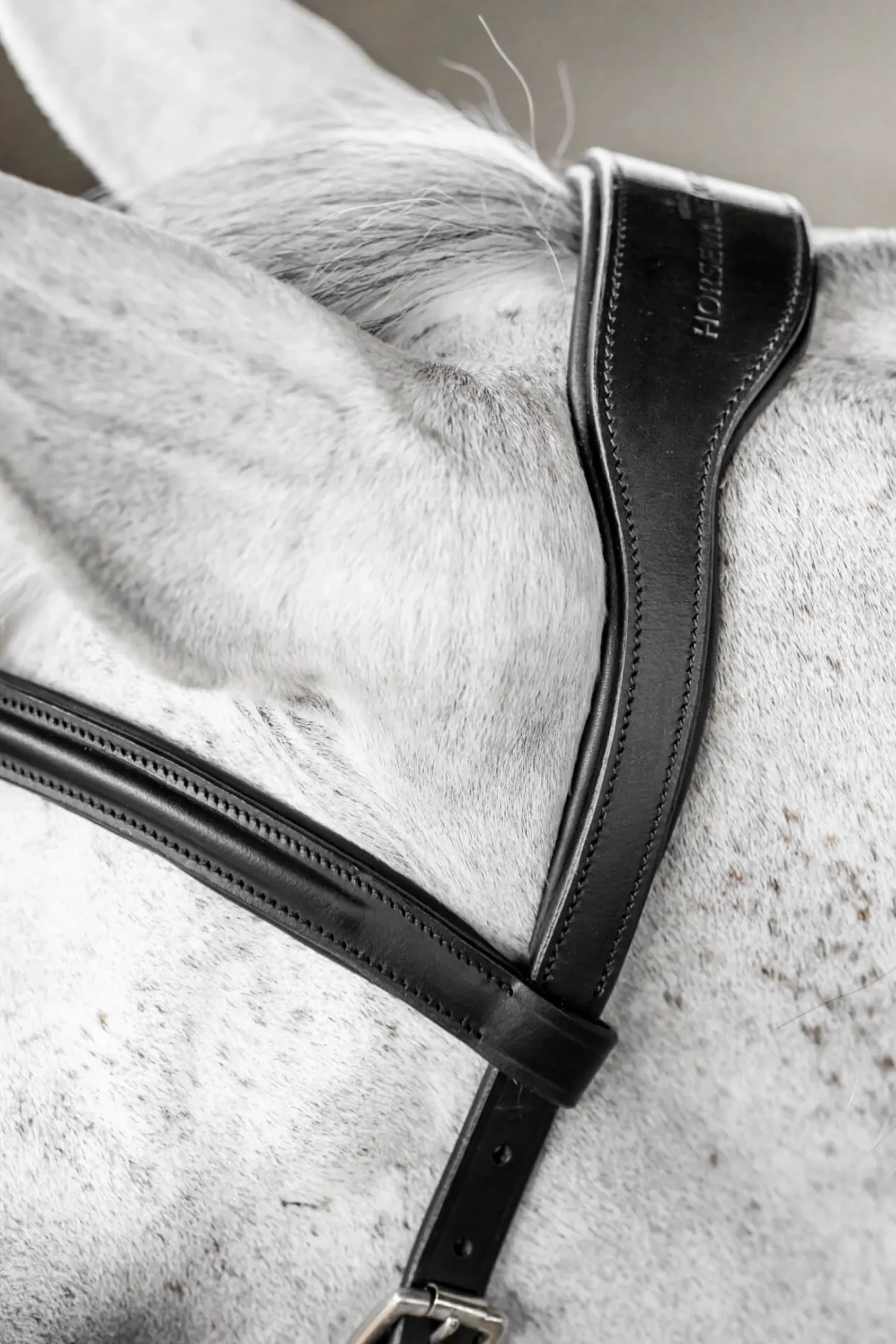 Trense Micklem 3 Deluxe Competition Bridle, ohne Zügel