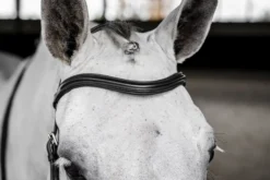 Trense Micklem 3 Deluxe Competition Bridle, ohne Zügel