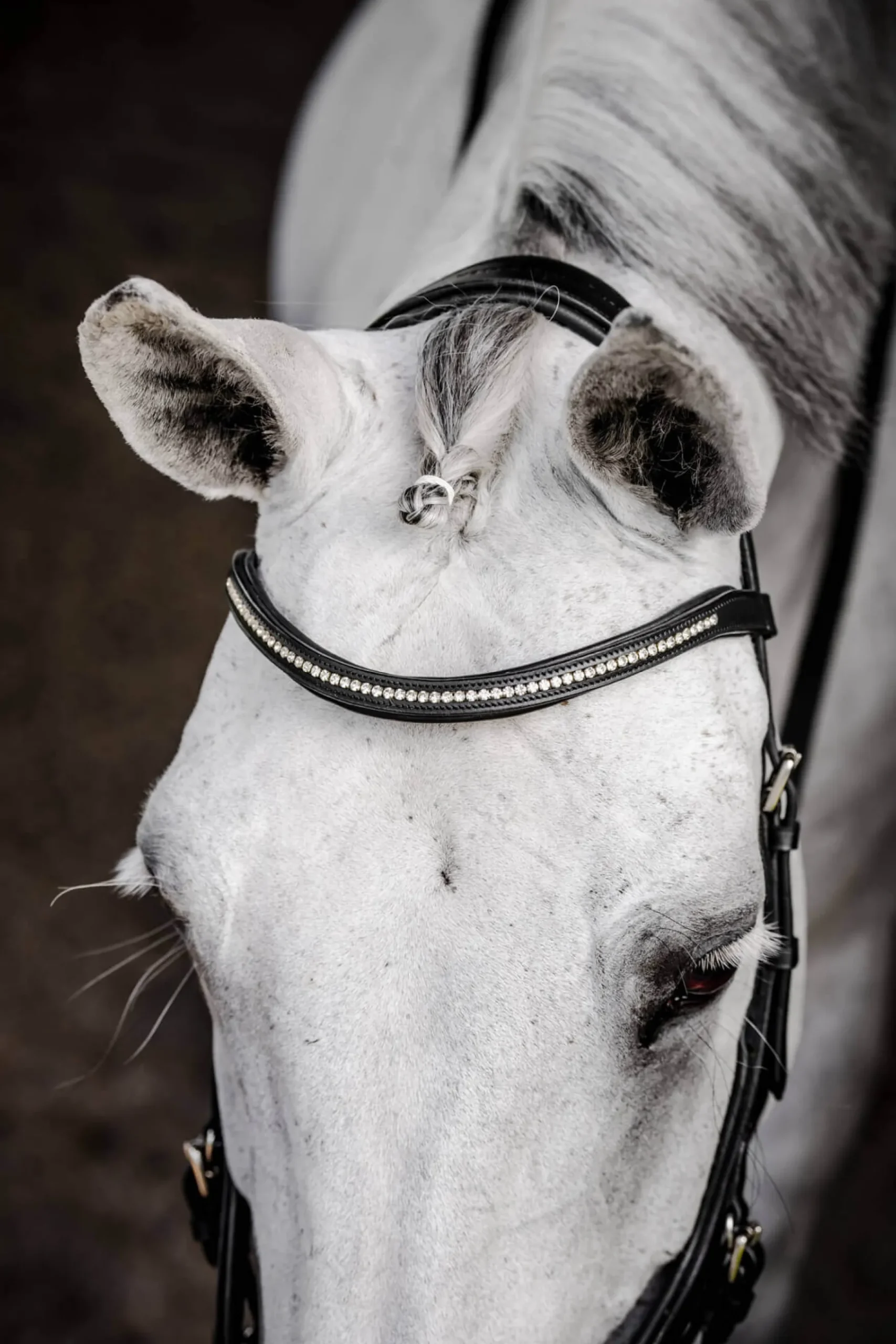 Trense Micklem 3 Diamante Competition Bridle, ohne Zügel