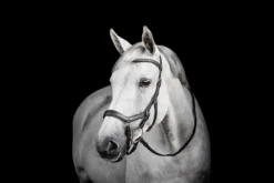Trense Micklem 3 Diamante Competition Bridle, ohne Zügel