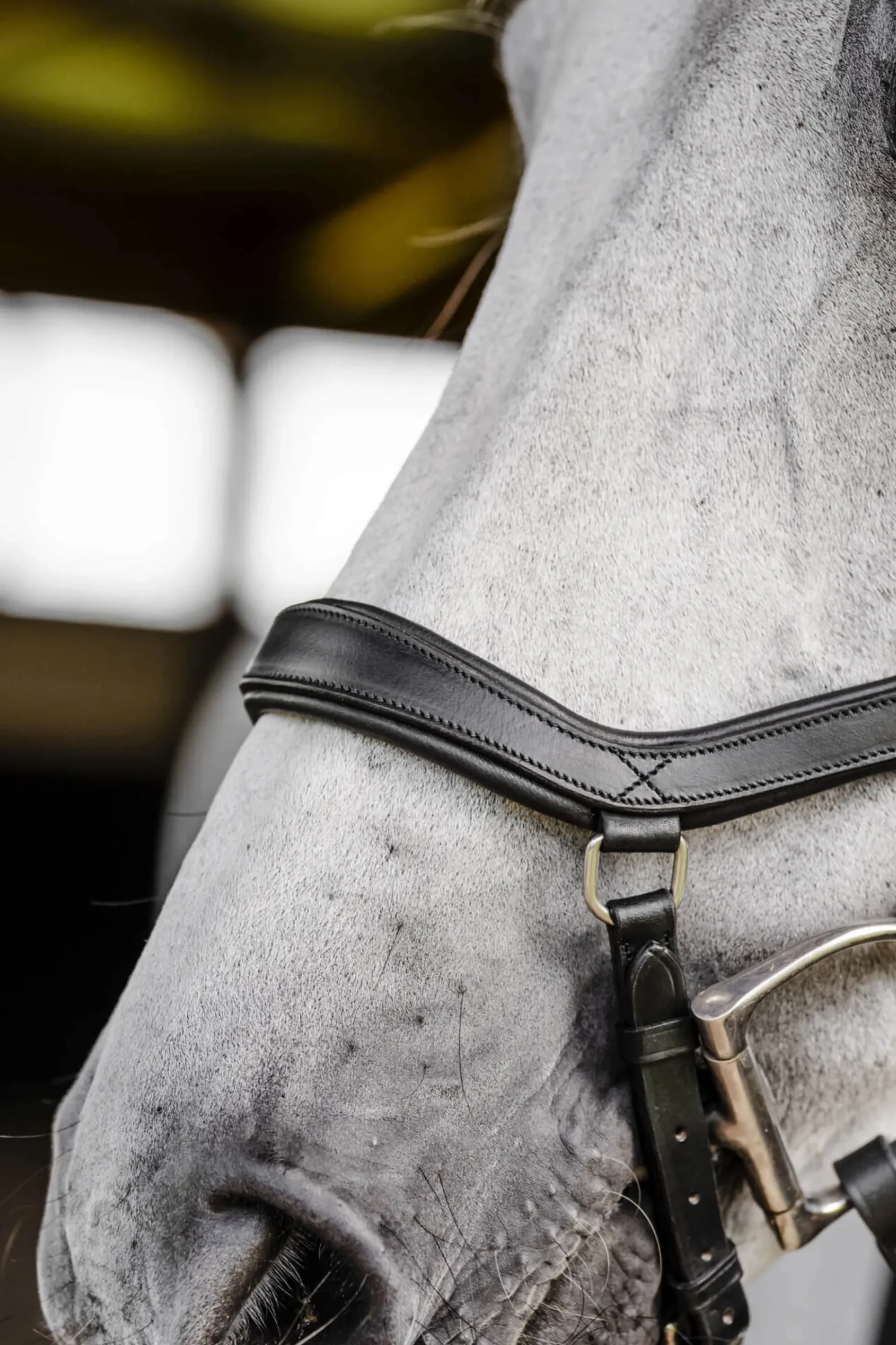 Trense Micklem 3 Diamante Competition Bridle, ohne Zügel