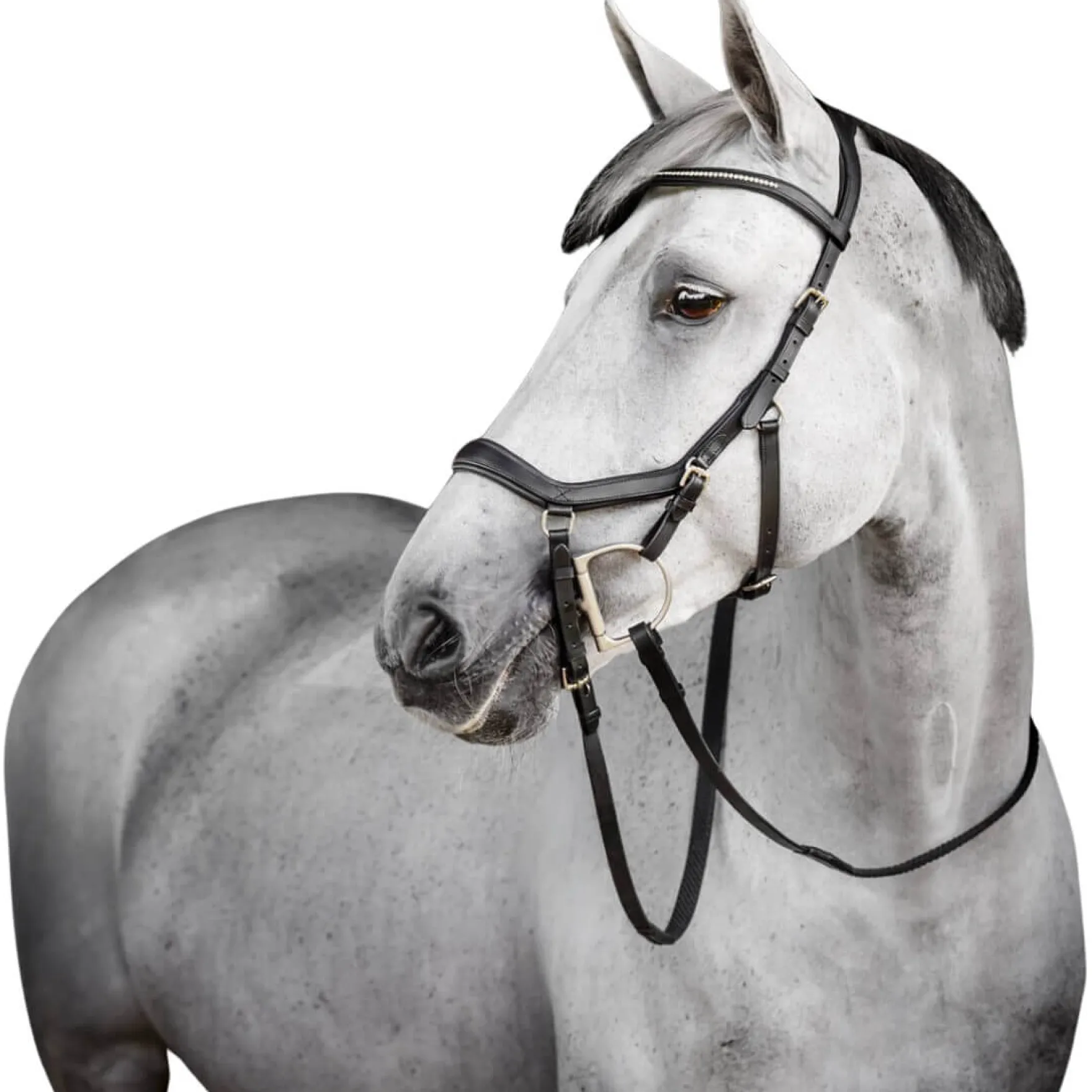 Trense Micklem 3 Diamante Competition Bridle, ohne Zügel