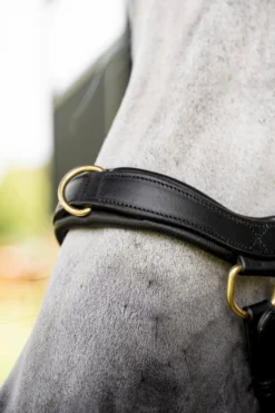Trense Micklem 3 Multi Bridle, ohne Zügel