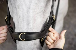 Trense Micklem 3 Multi Bridle, ohne Zügel