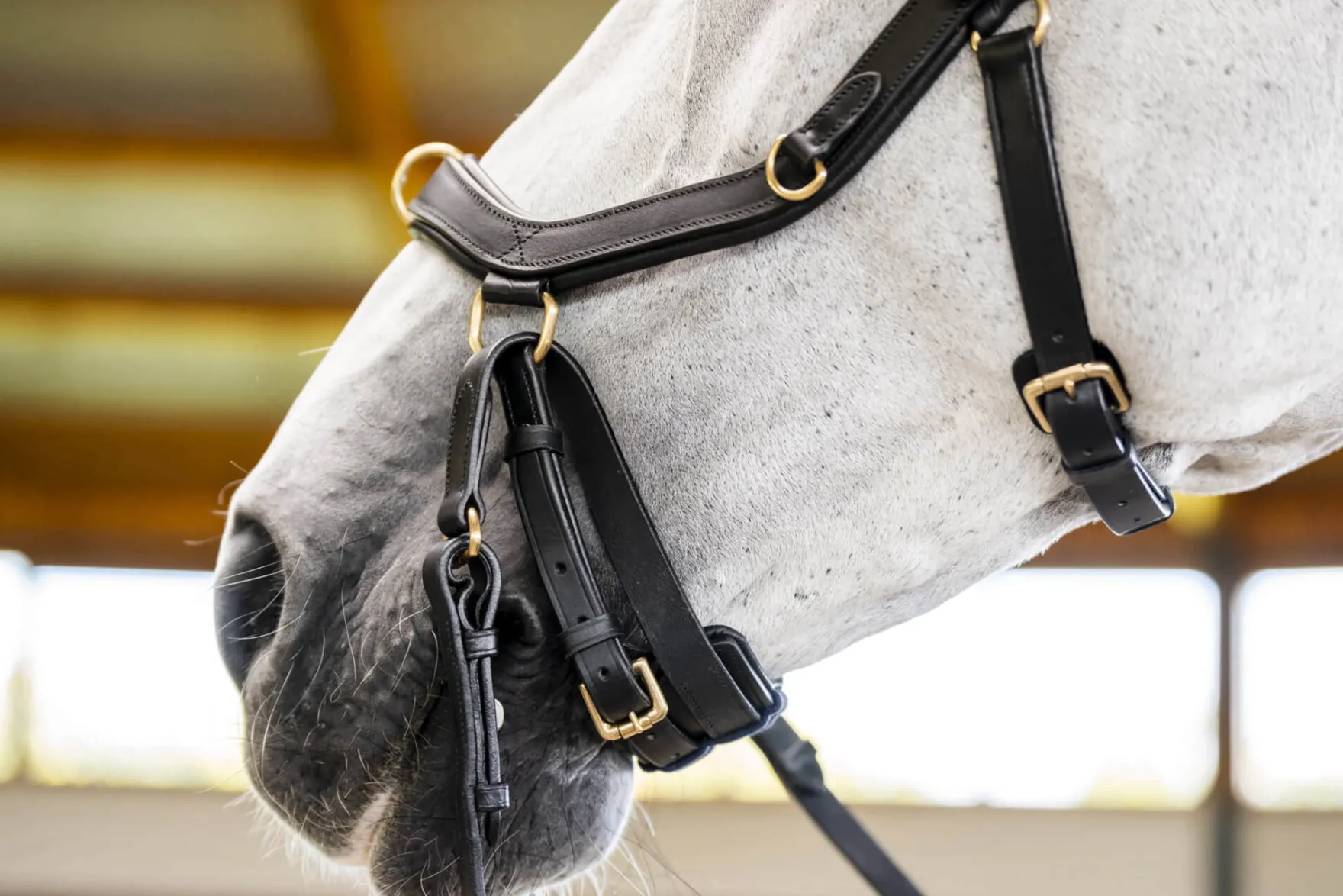 Trense Micklem 3 Multi Bridle, ohne Zügel