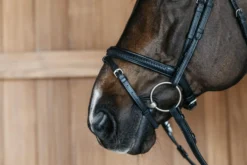 Trense Plaited Flash Noseband Bridle New English Collection, englisch kombiniert