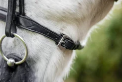 Trense Pony Flash FS26, schwedisch kombiniert, ohne Zügel