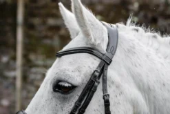 Trense Pony Flash FS26, schwedisch kombiniert, ohne Zügel