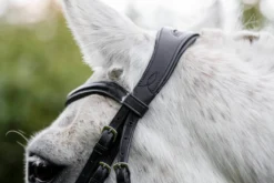 Trense Pony Flash FS26, schwedisch kombiniert, ohne Zügel
